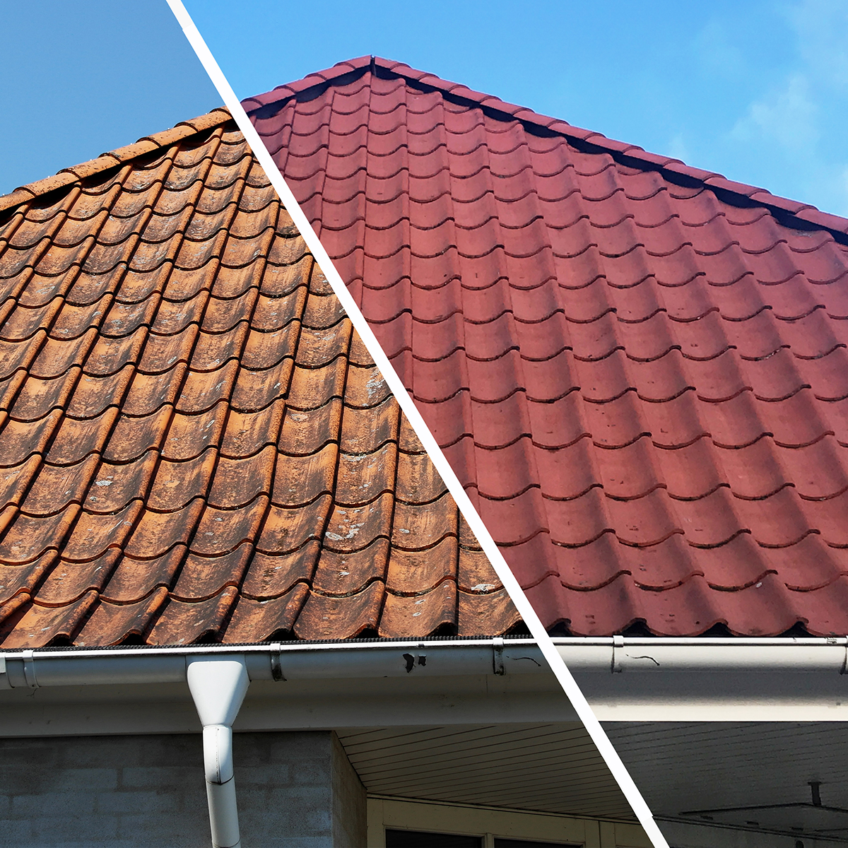 Algebehandling af tag