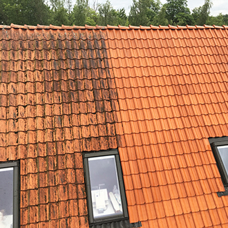 Algebehandling af tag